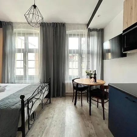 Copernicus Street Apartment - Broken Flowers And Twin Peaks Торунь Екстер'єр фото